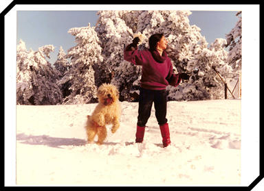 Mumin-in-the-snow.jpg