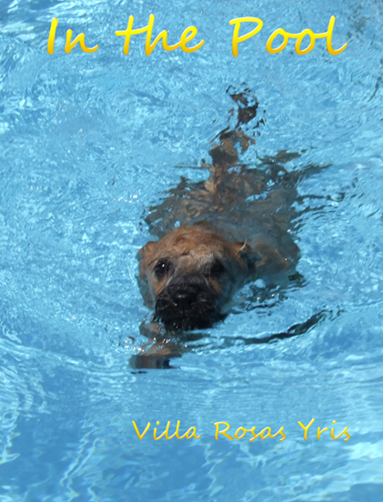 Yris-in-the-pool.jpg